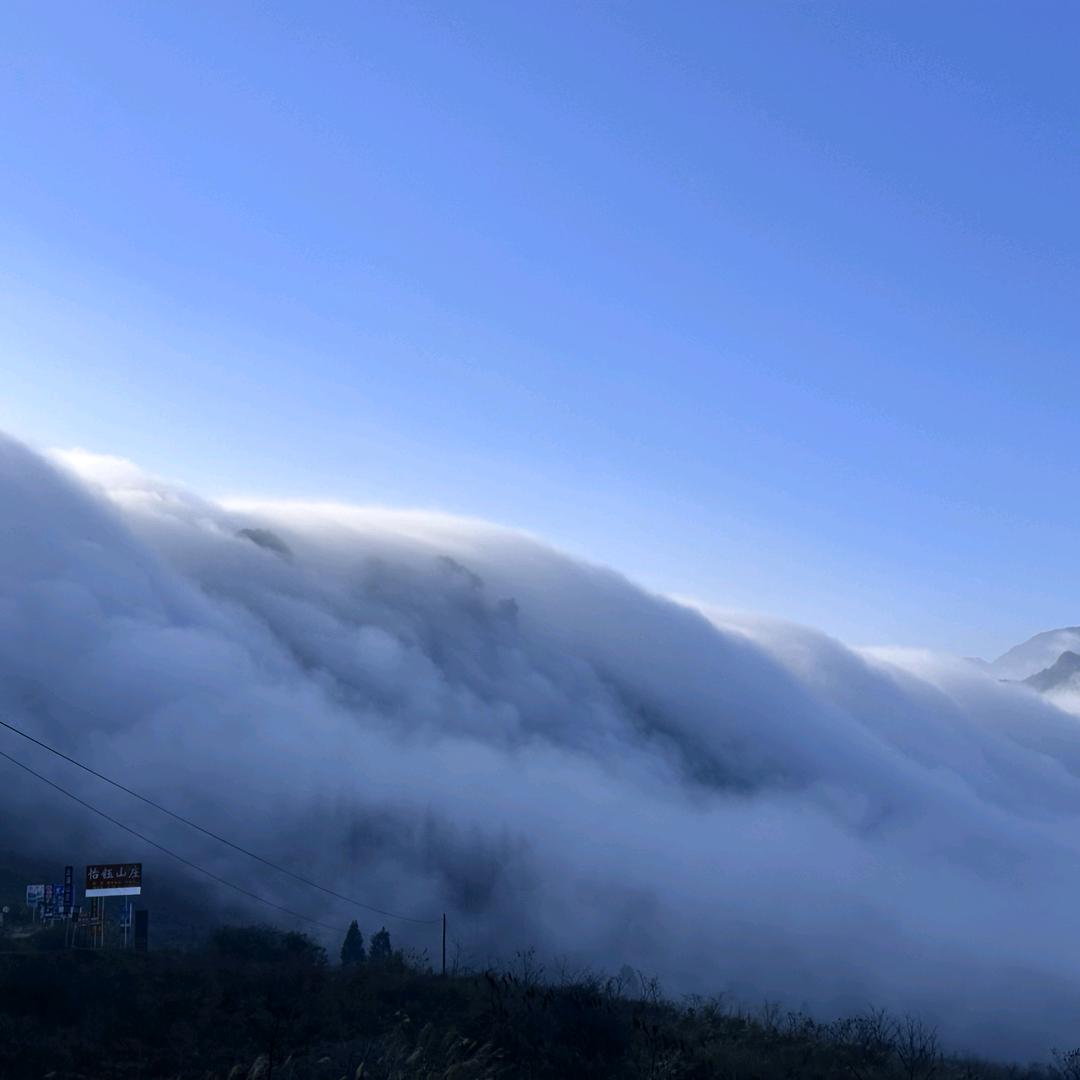 专业解决证书注册