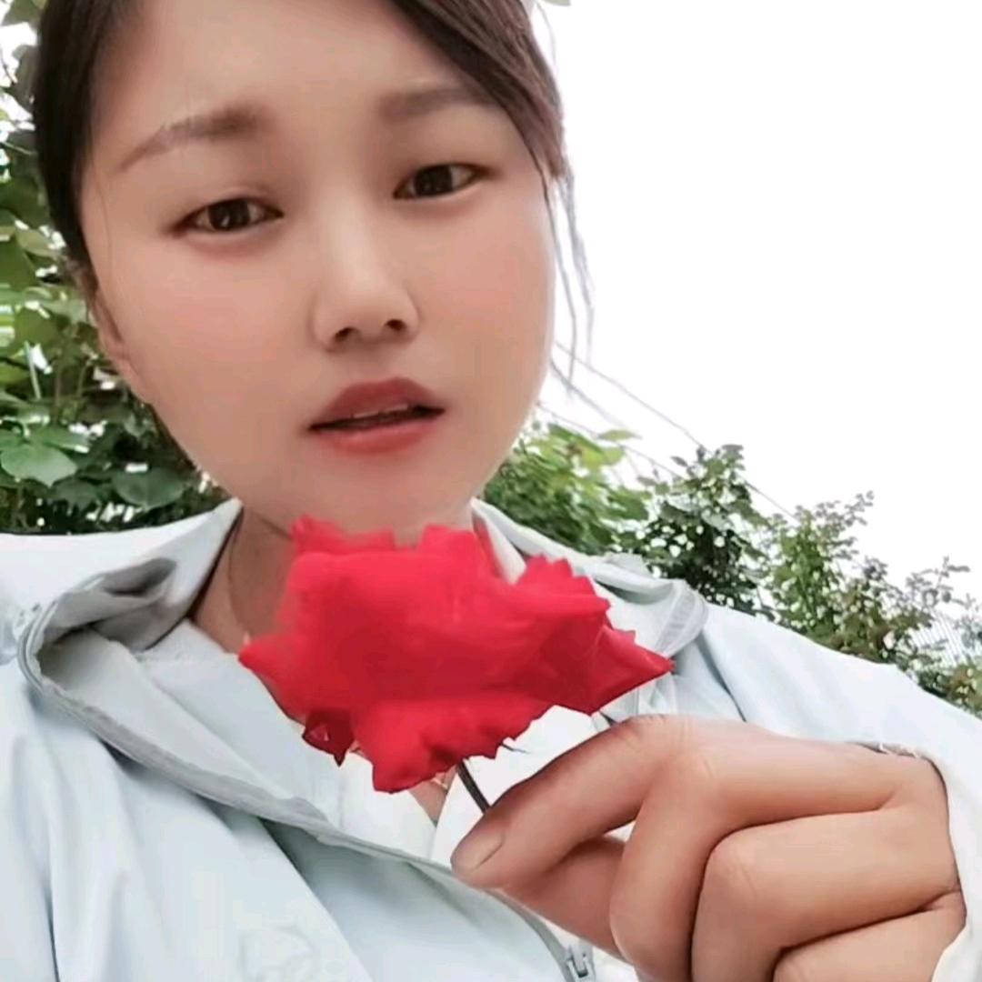 种月季的小爱同学