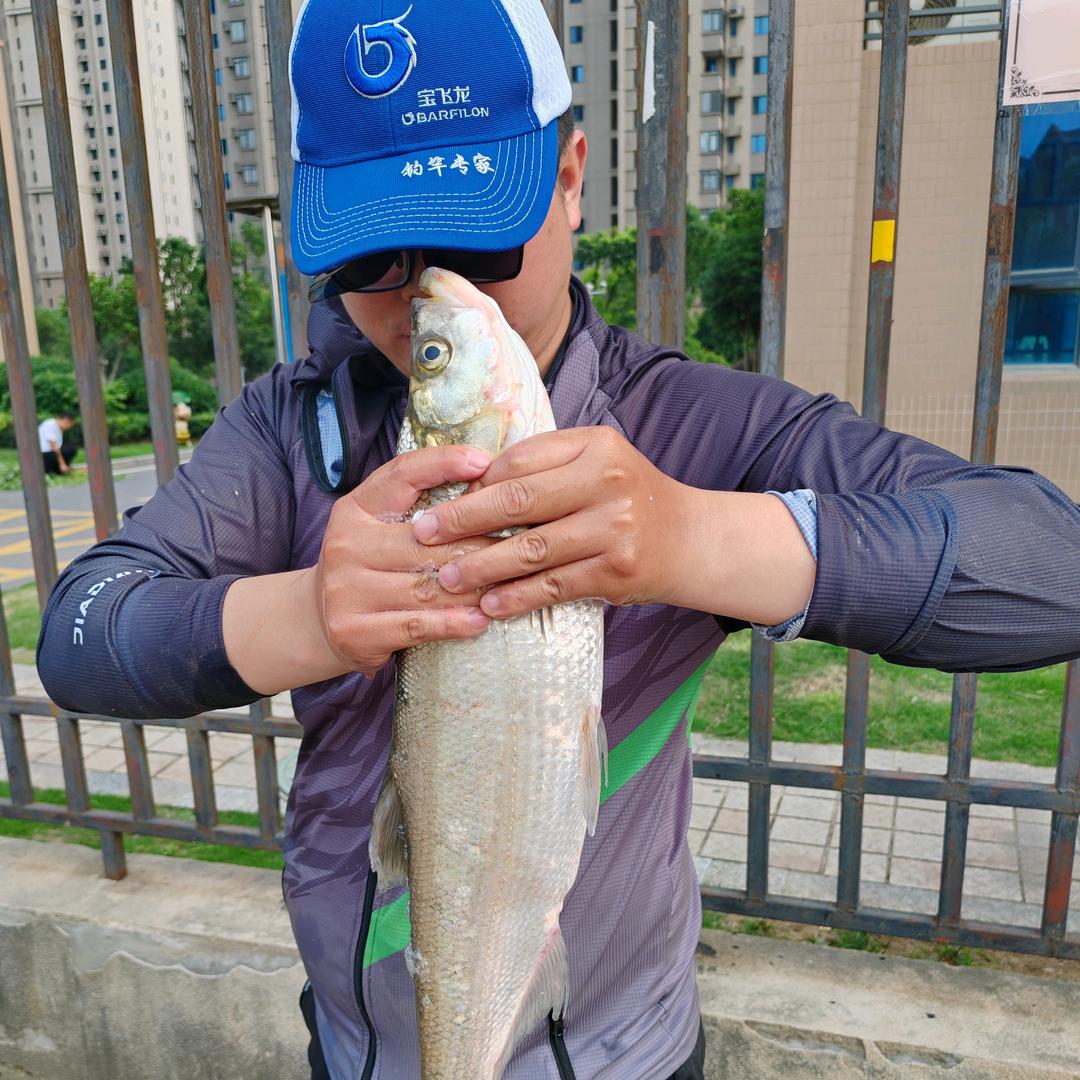 小黄爱钓鱼
