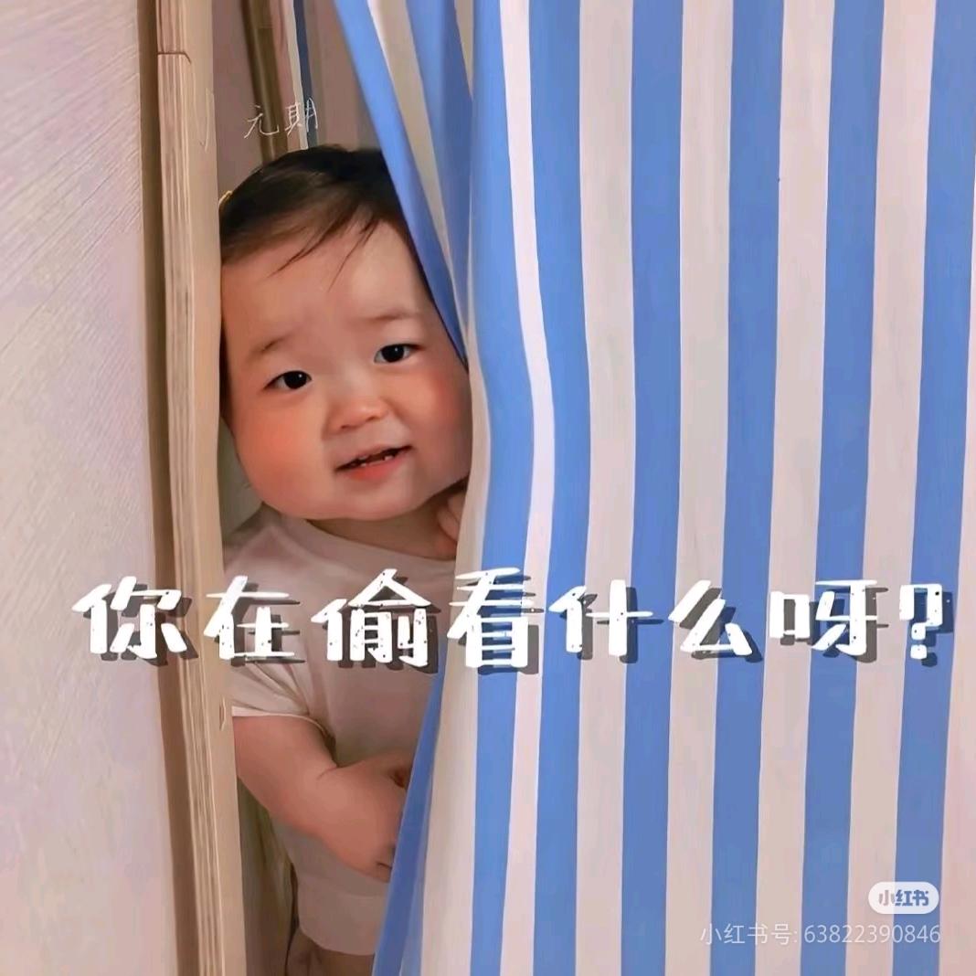 一只懒惰玲