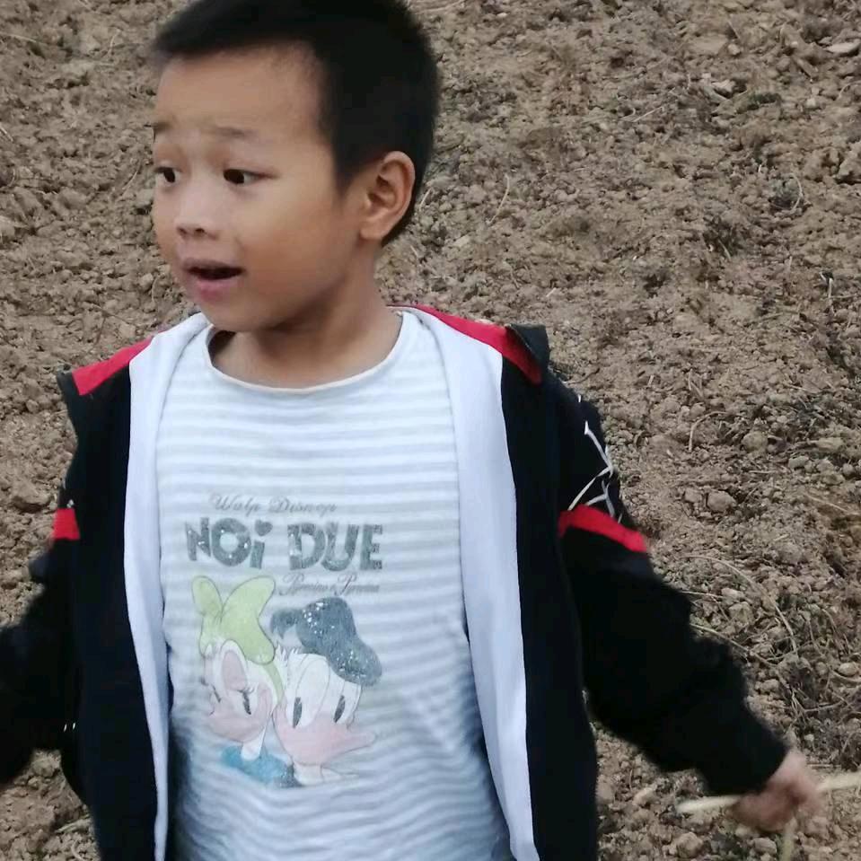 专业播种