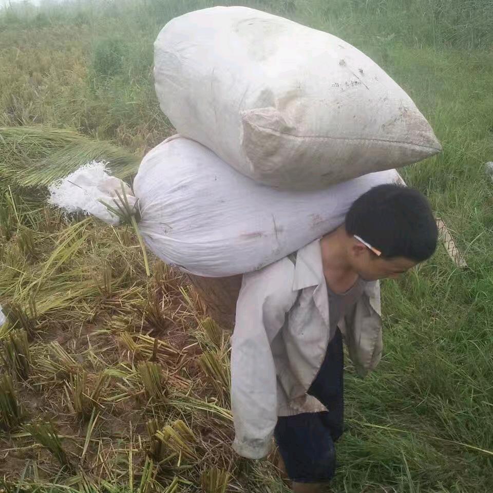 保靖木地板安装向