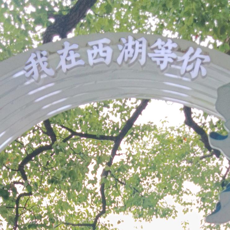 🚘出门不当家🚘