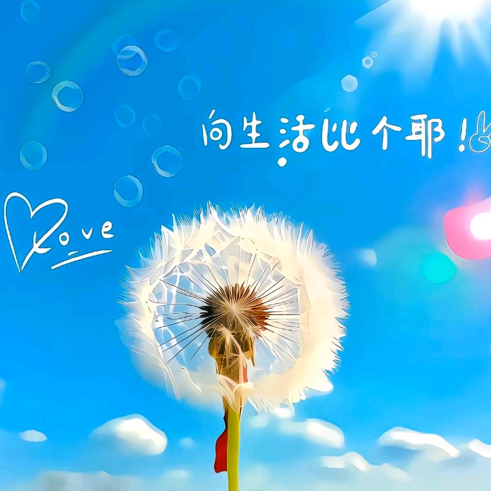 🍷繁星浅梦🍷⁶²⁹