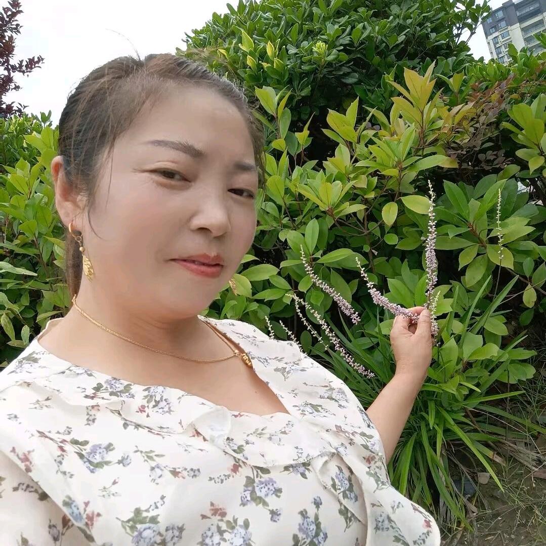 腊月的♣️梅花