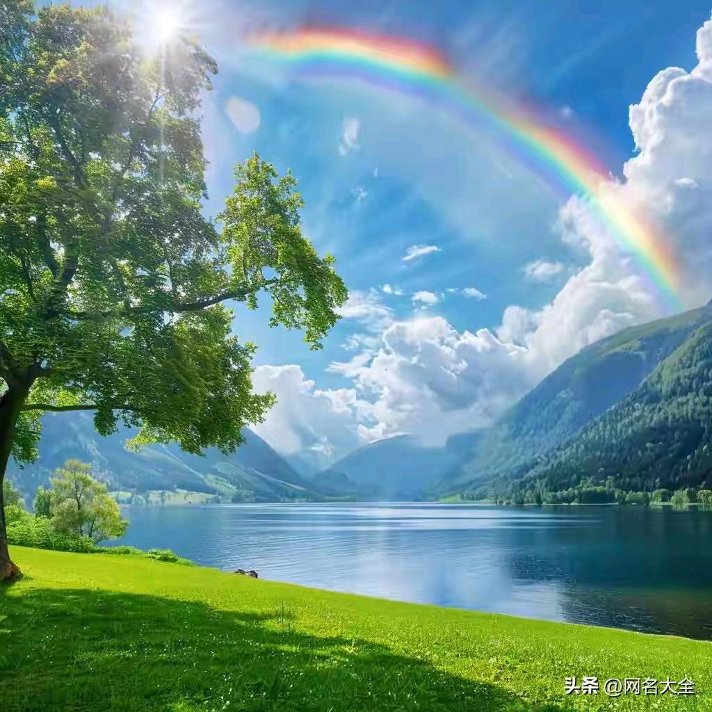 🌈🌈天道酬勤🌈🌈