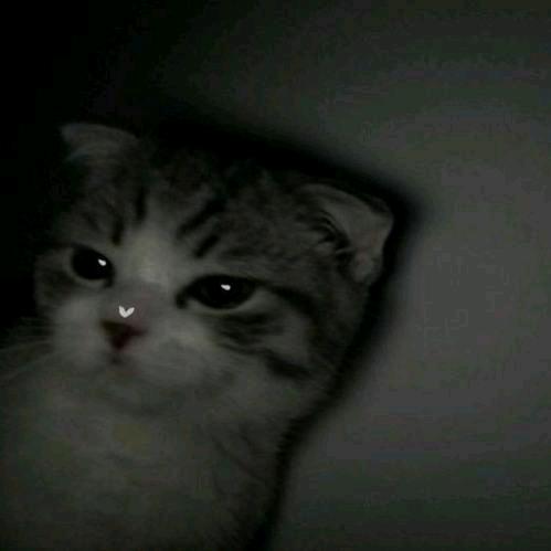 莲. 阿修贝尔