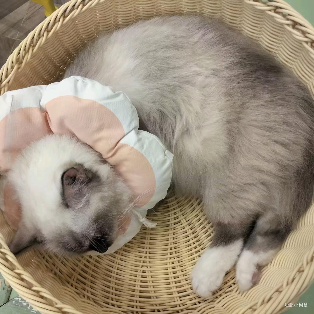 one顾