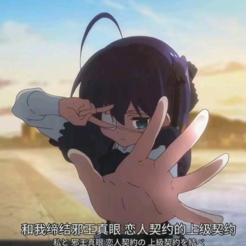月童桐
