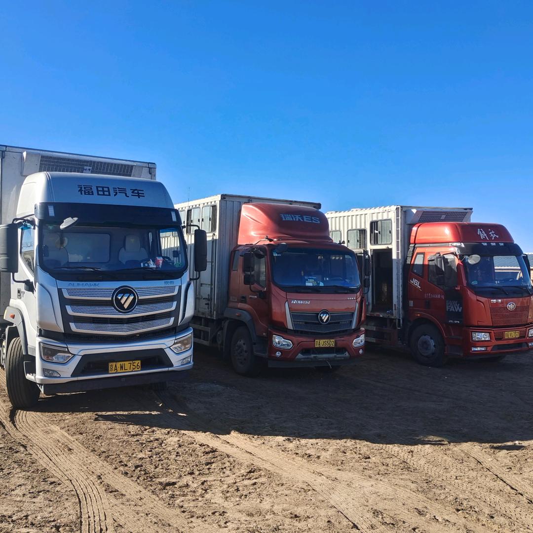 姜朋11、8、4马匹运输