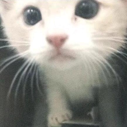 icat