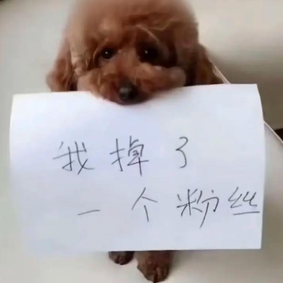 高p被抓女友连夜跑路的那个雨夜
