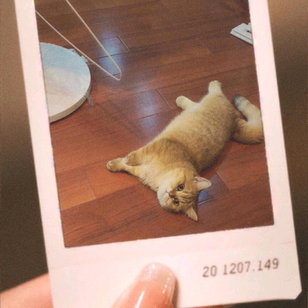 张教练铁粉