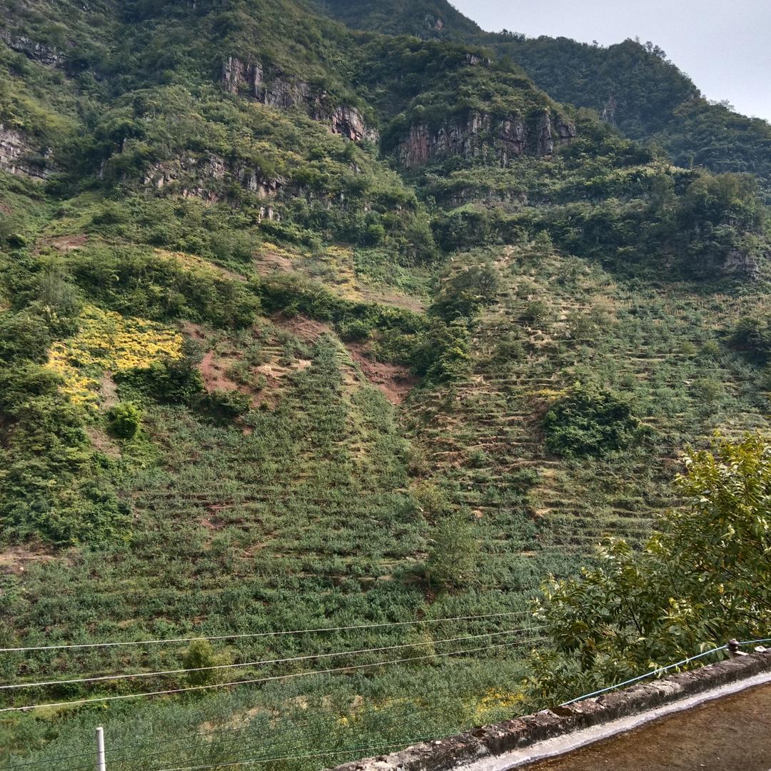 回忆在美也只是曾经