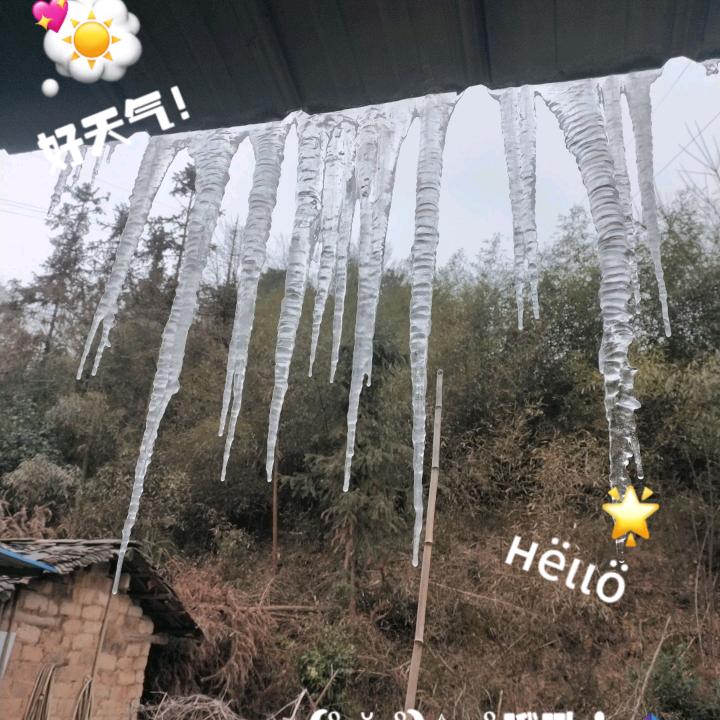 笨笨