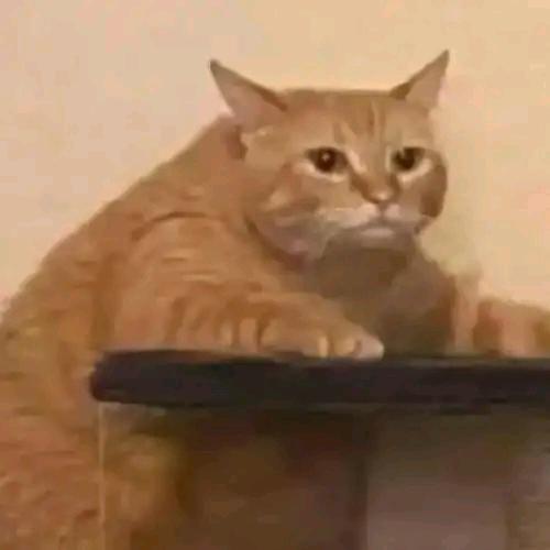 Meme小短剧