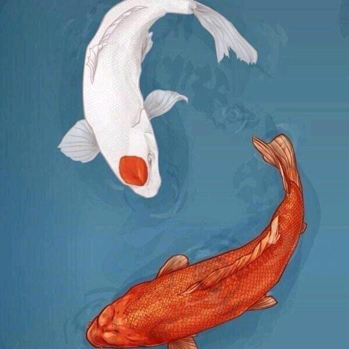 腰王-金鳞