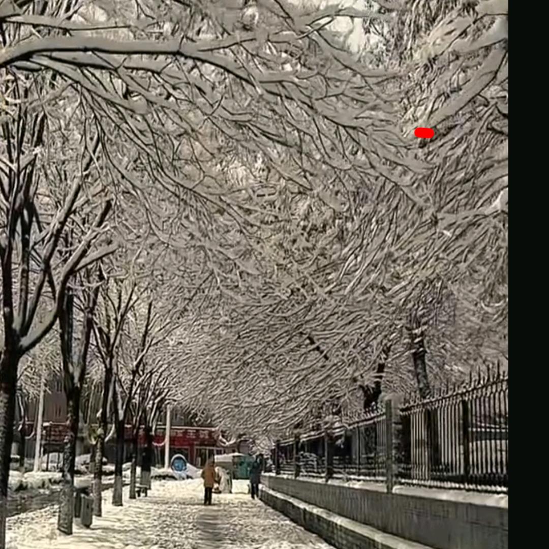 雪中行