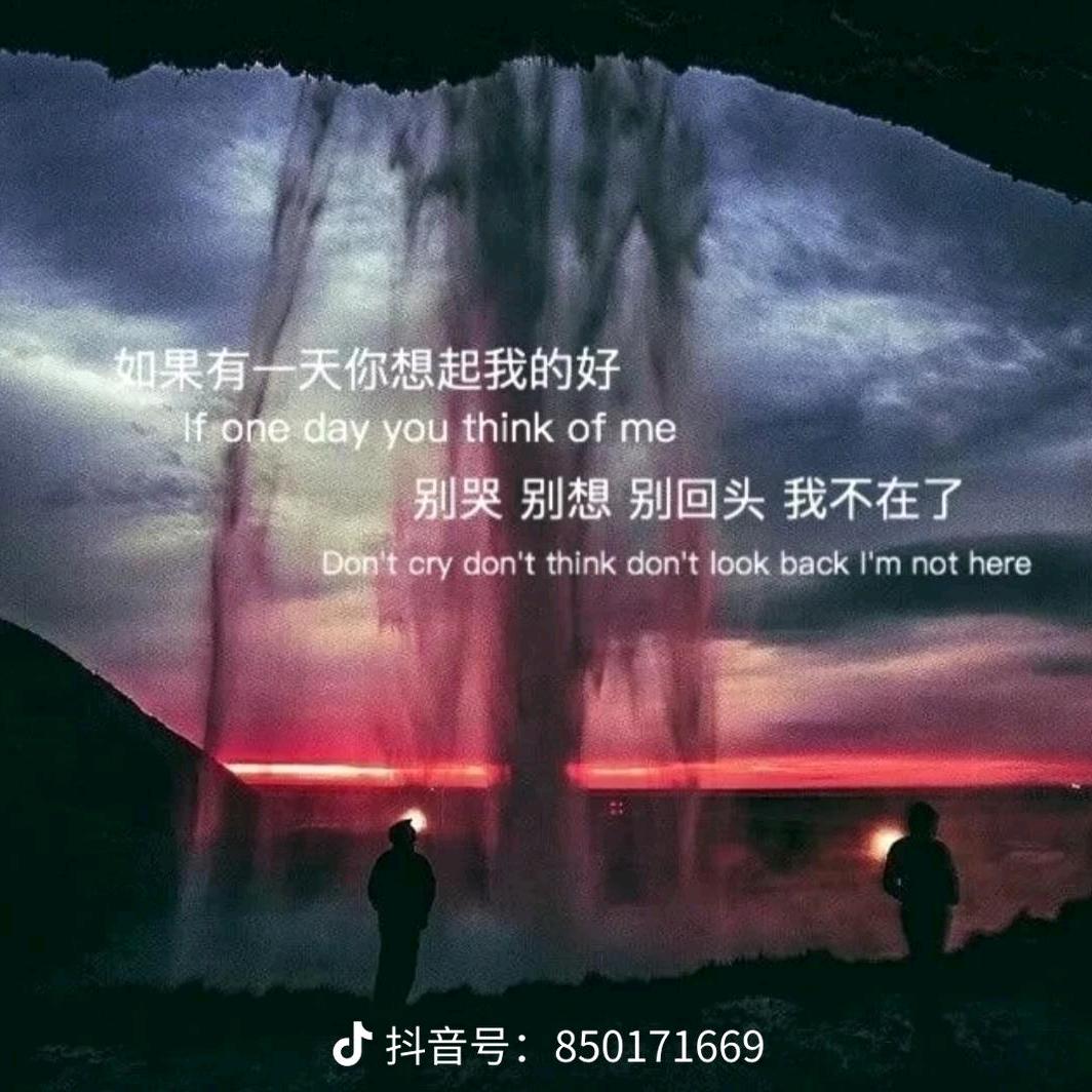 笑看雪莲花开