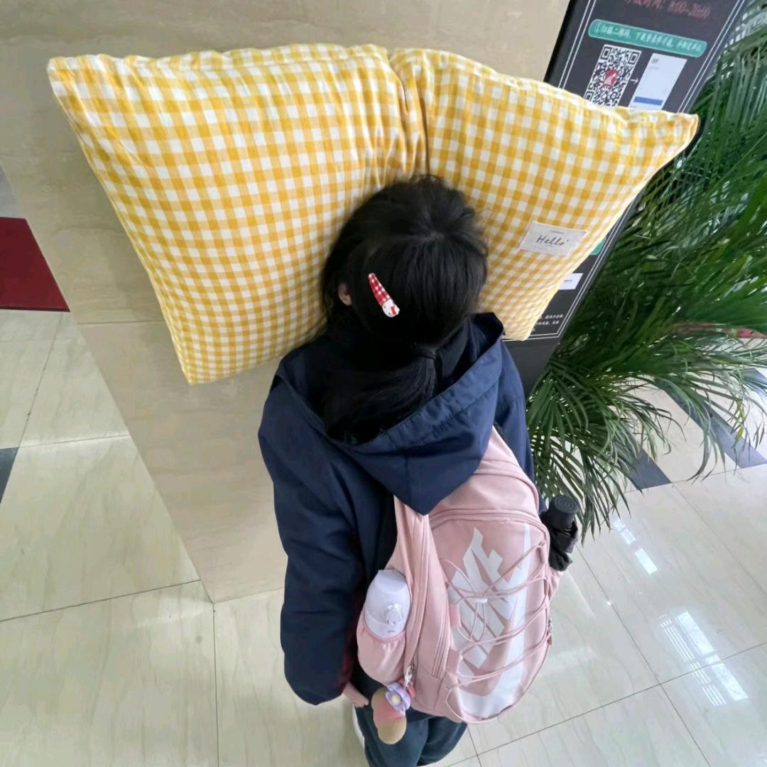 敲琦