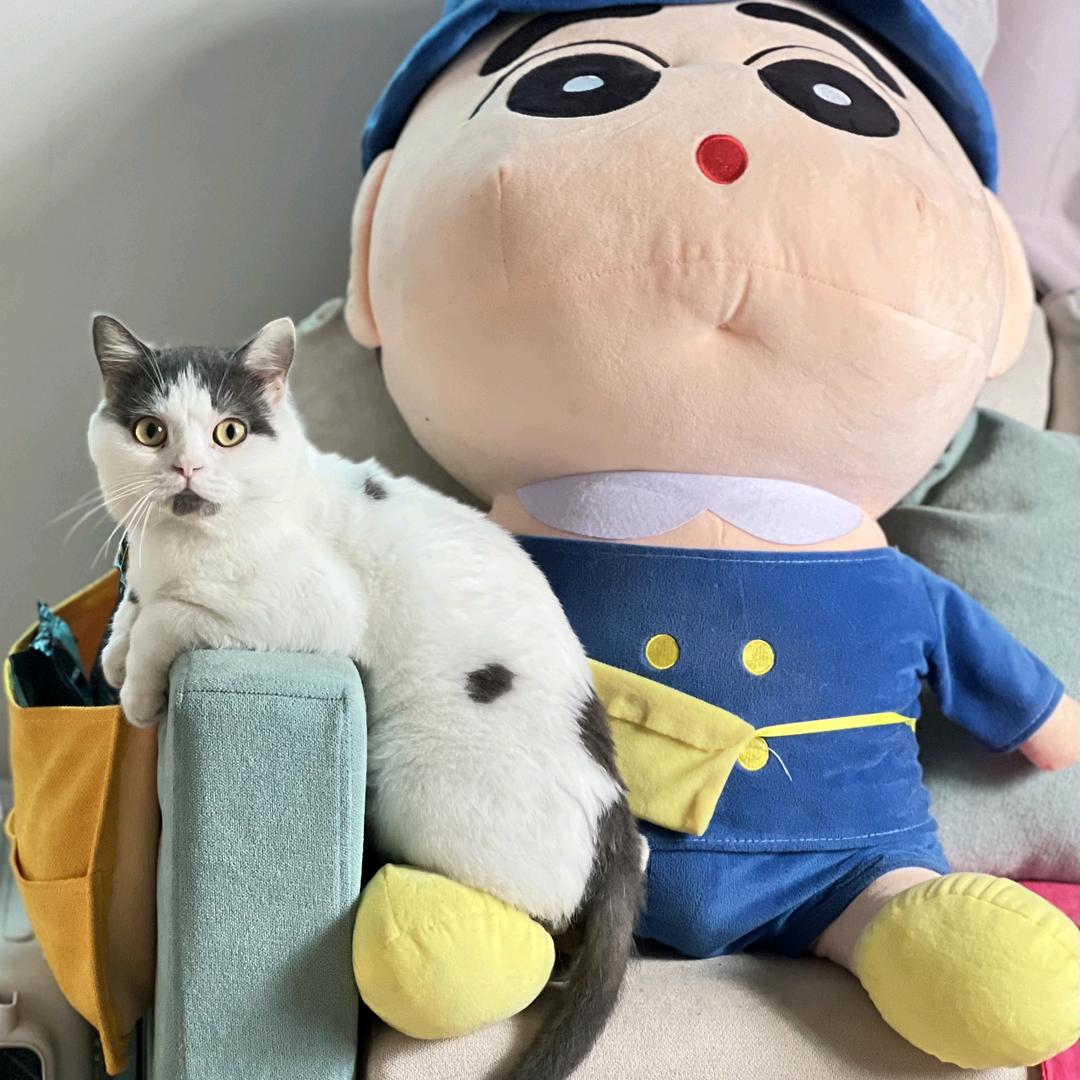 ღ᭄💞龙飞凤吴໑ຼ₀₂₄💕