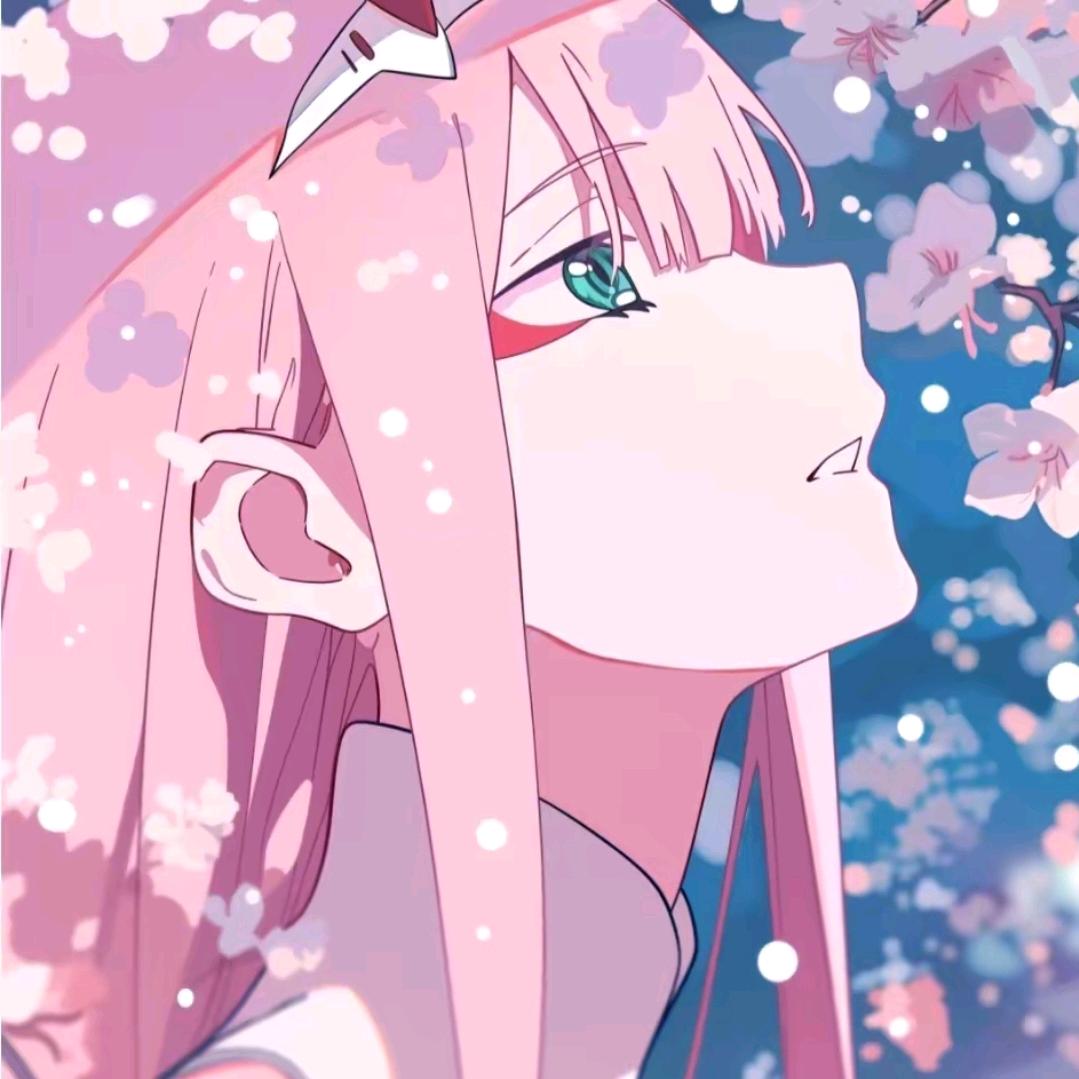 𝑾𝑖𝗹𝗹𝘢𝕣𝖉🌇