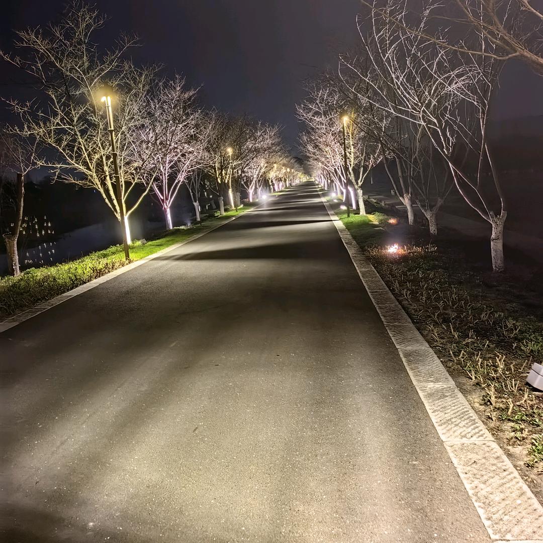 心痛的执着
