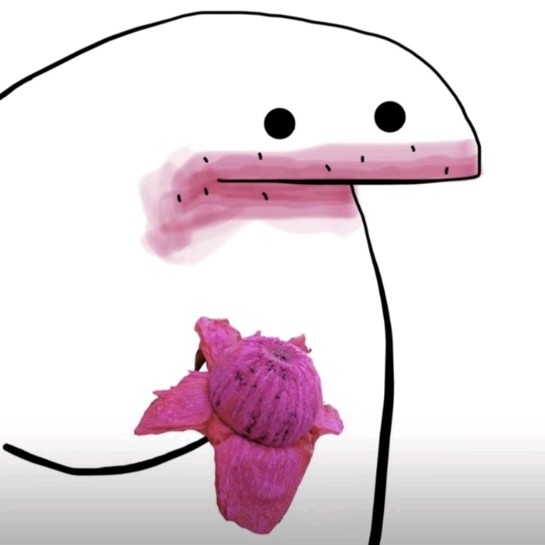 毕业去卖火龙果