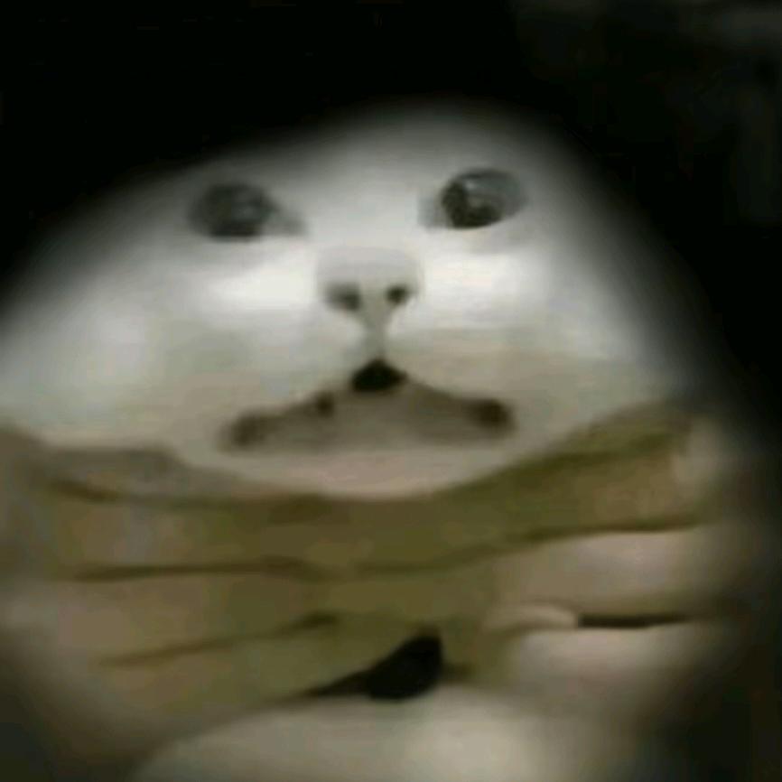 NSIW头像