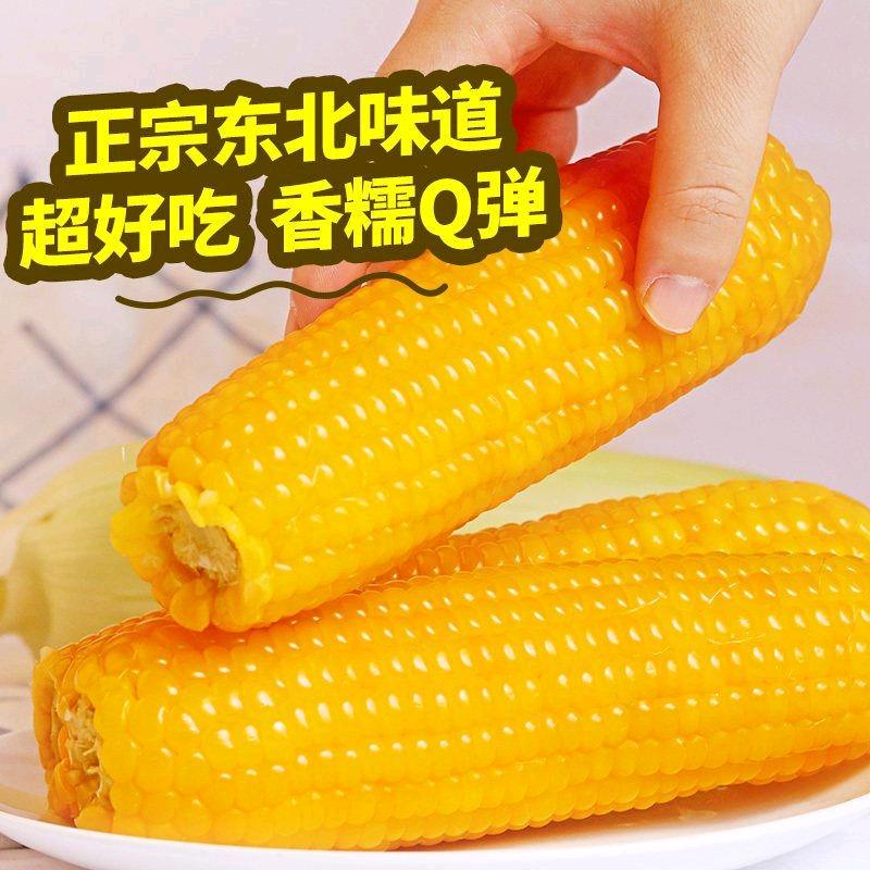 糯玉米专场一