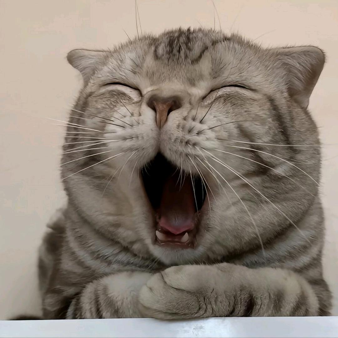 打发时间