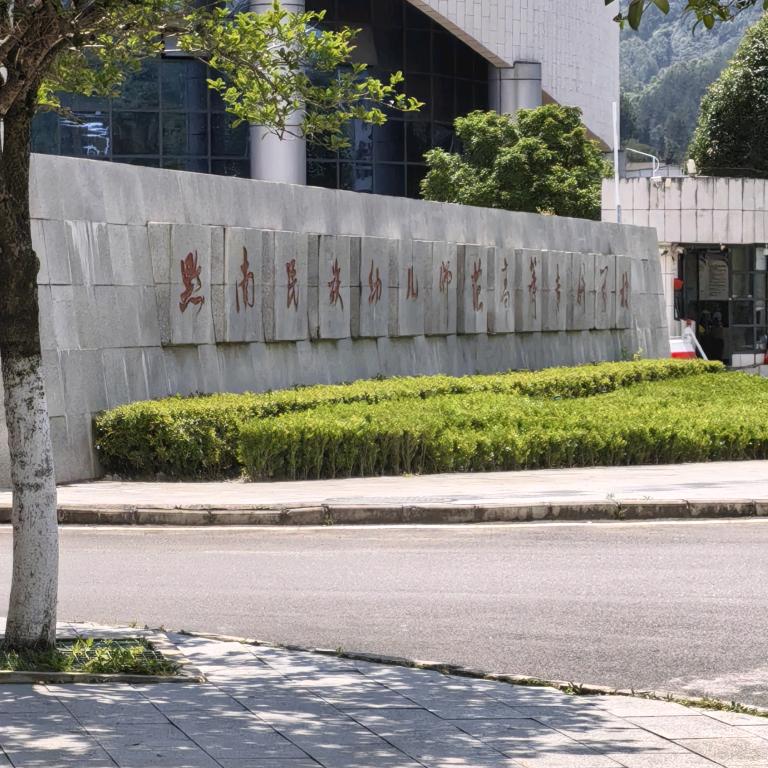 黔南民族幼儿师范学院（陈学长）