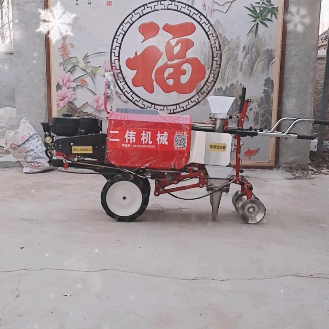 飞哥辣椒移栽机