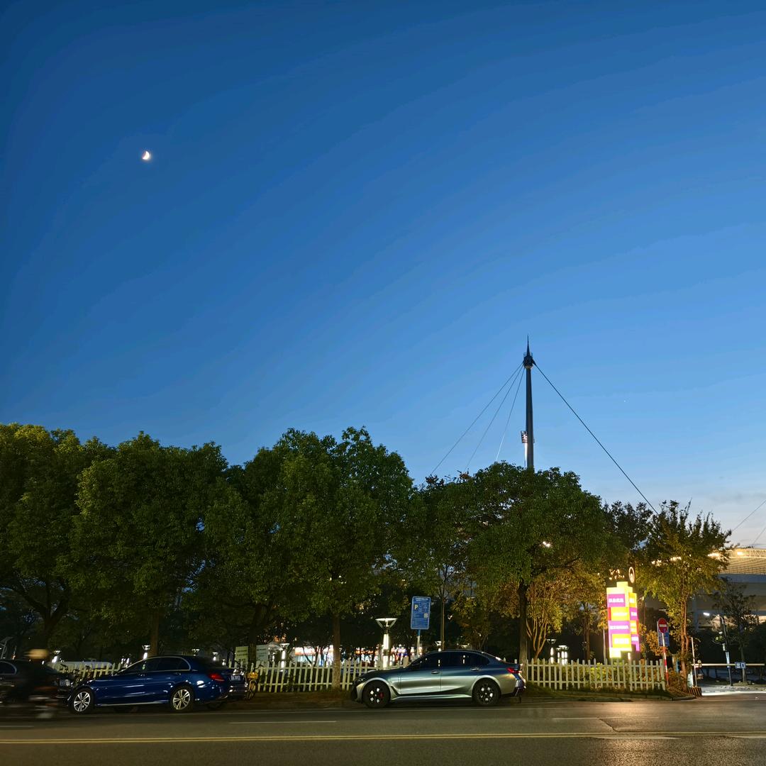 不迷茫的月亮🌙