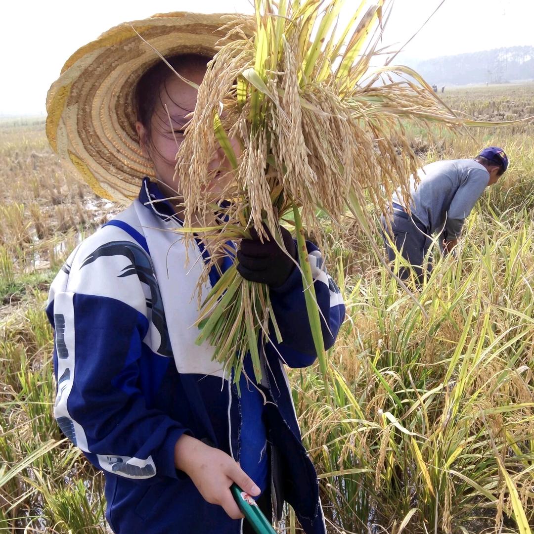 🌸秋风淅淅百花香