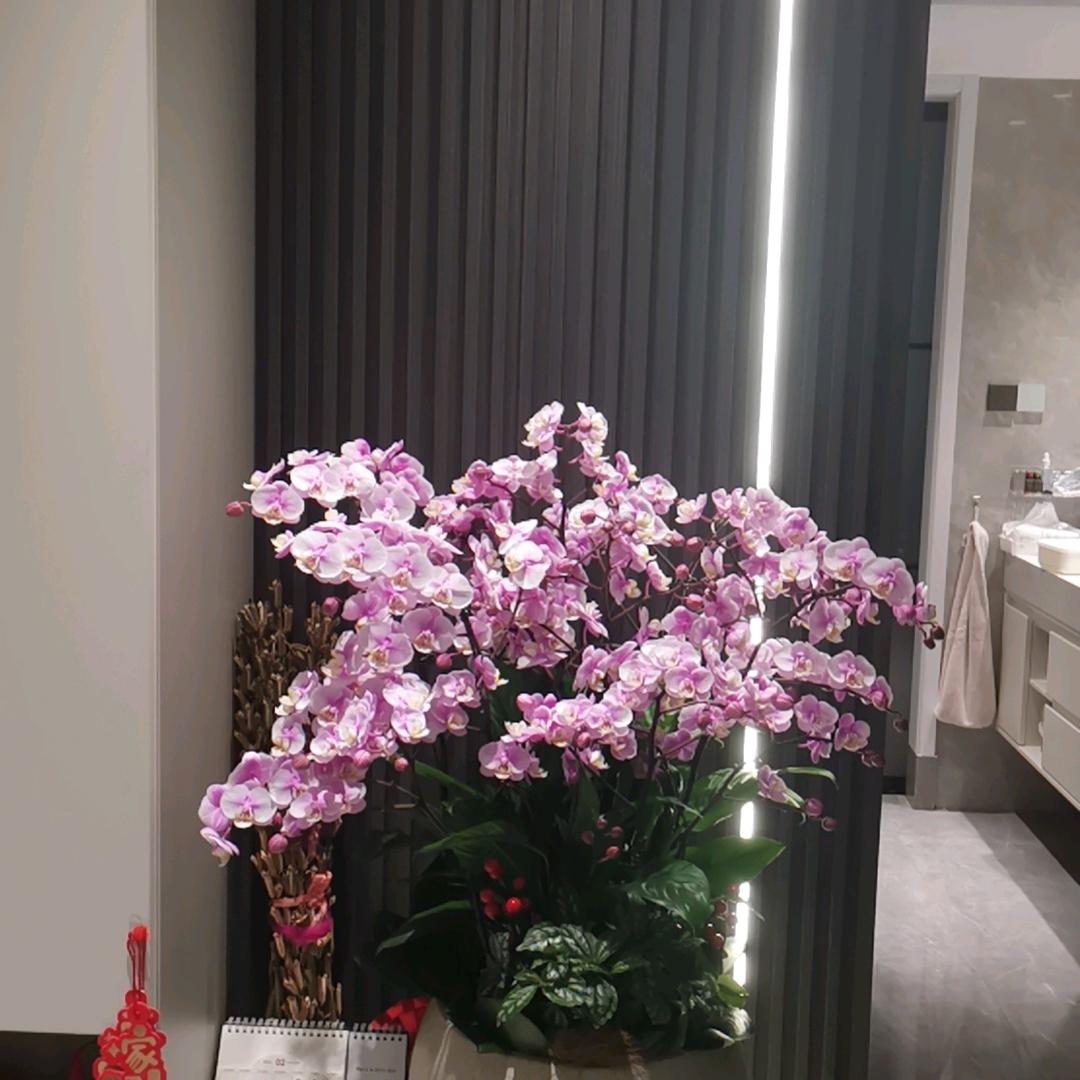 漫步云端