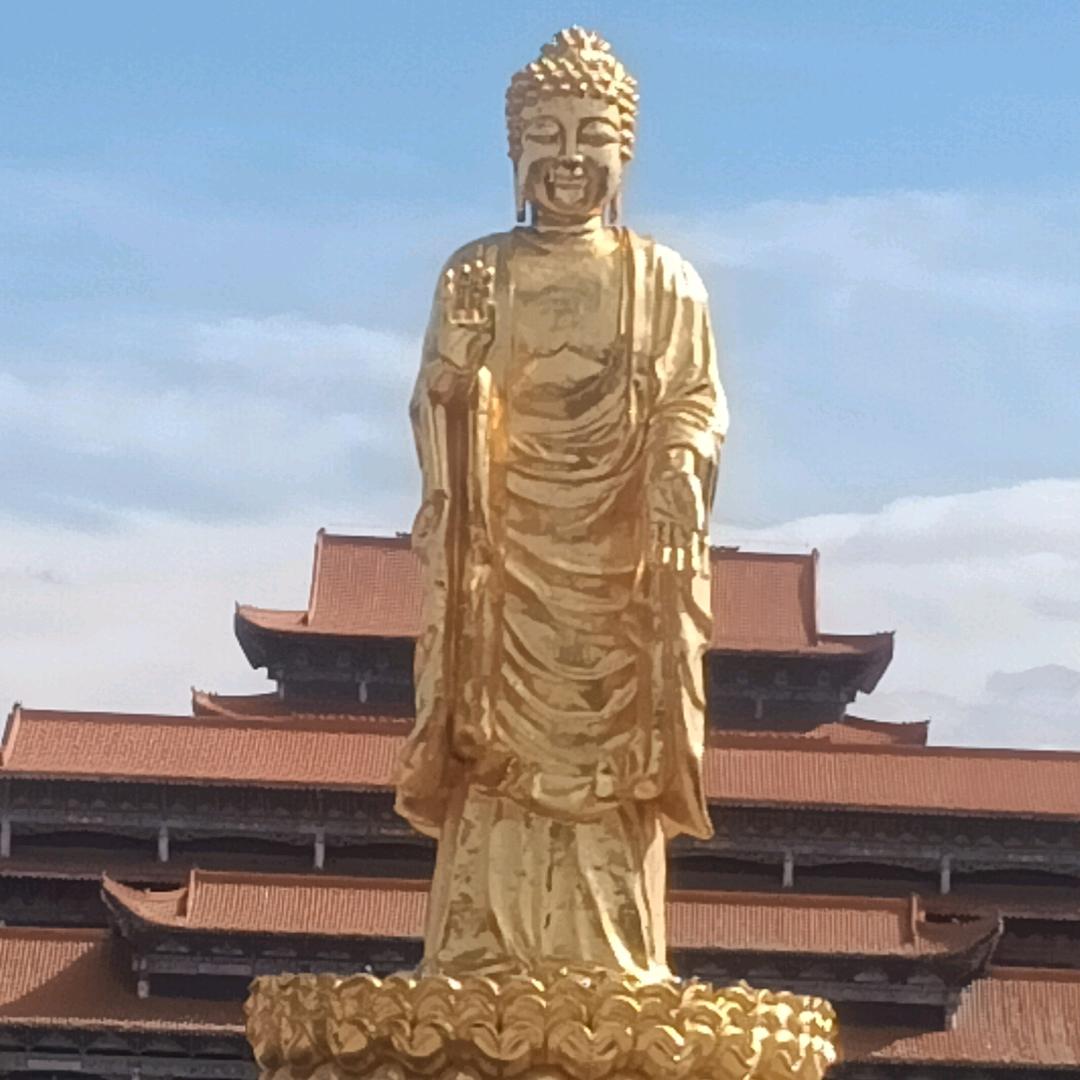 靓洁净家政服务