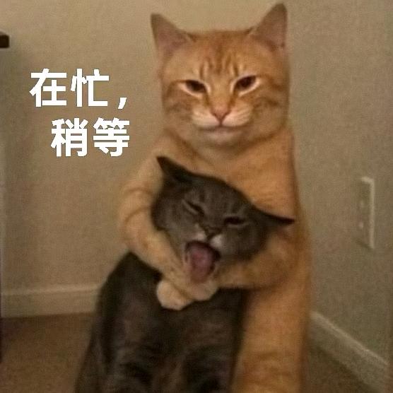 吉祥物🌷