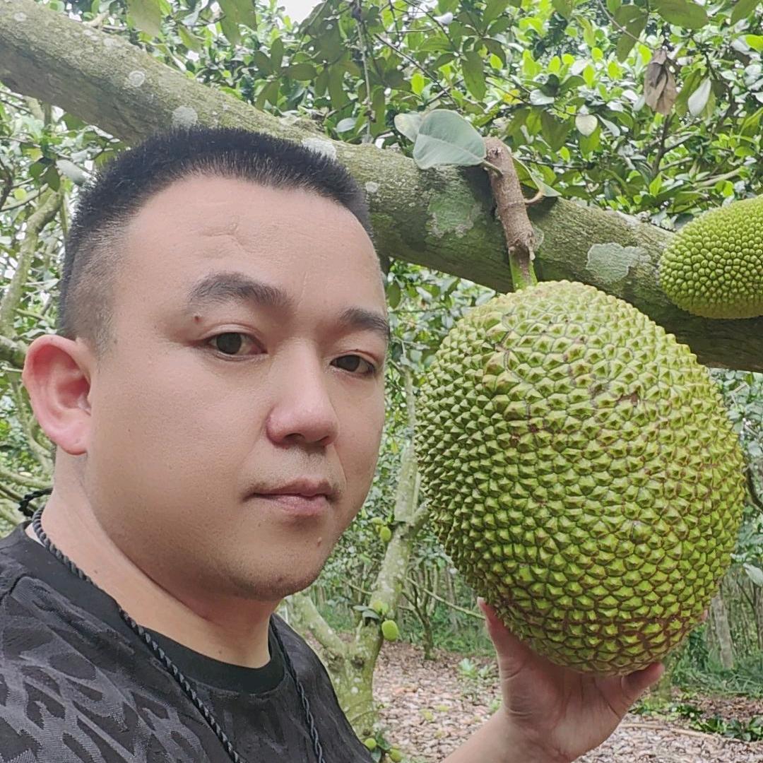 从头再来-榴莲蜜