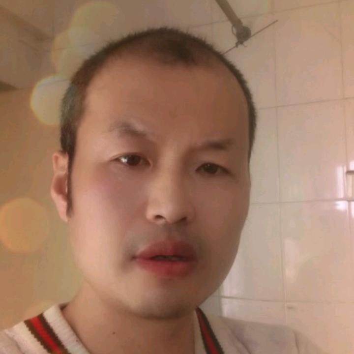 单身情歌