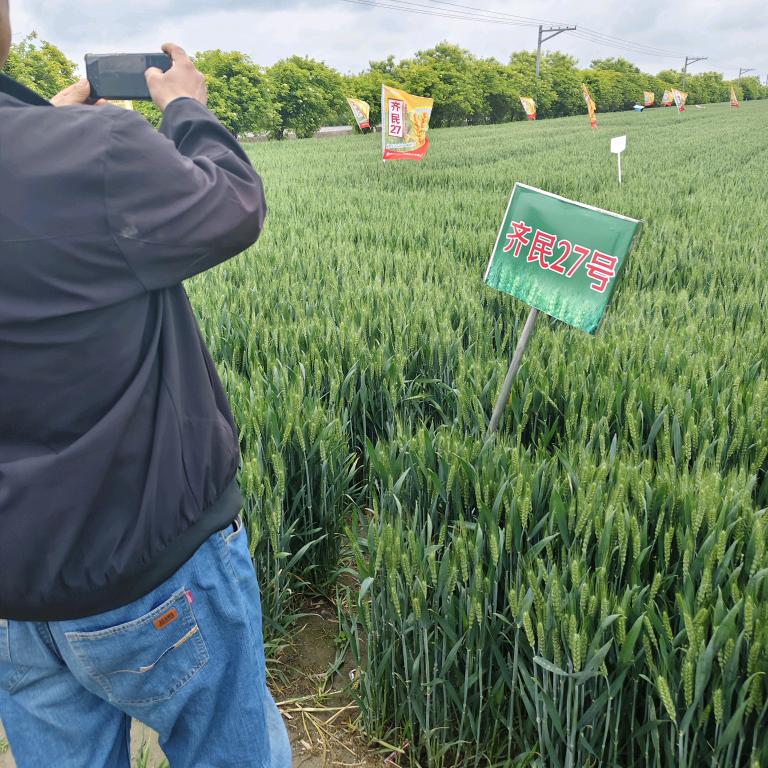 高青县青城镇农兴种业