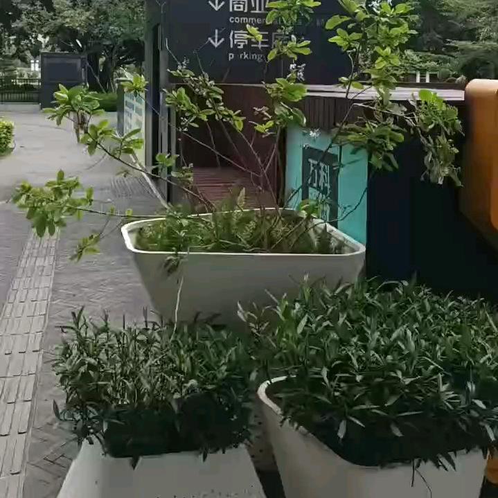 岁月童话