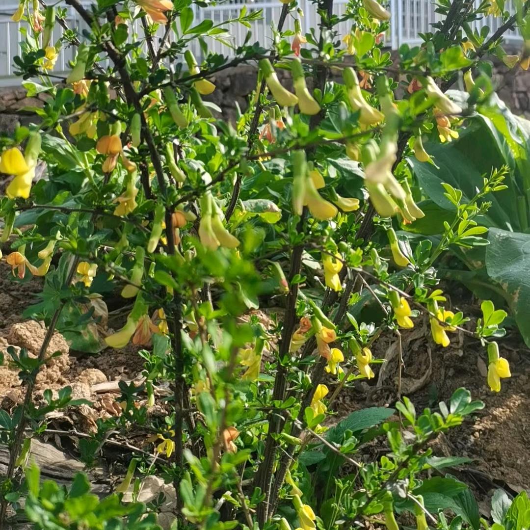 舒铭装饰工程有限公司