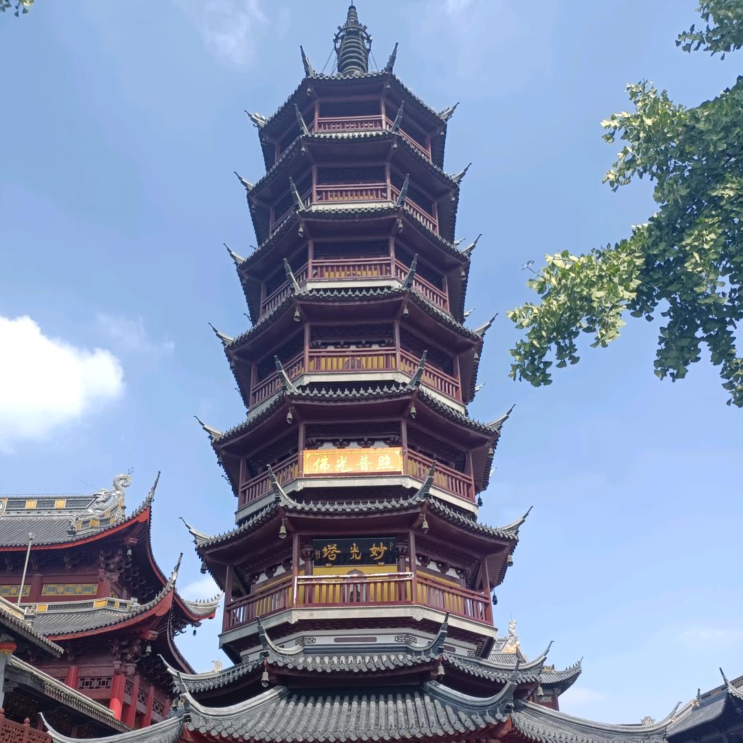 冒泡的鱼