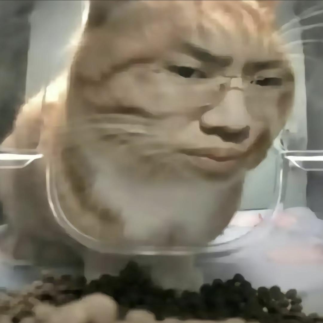 东方小企鹅