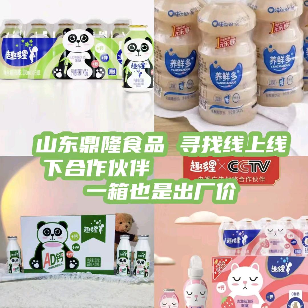 山东鼎隆 AD钙奶 乳酸菌等饮品 招商