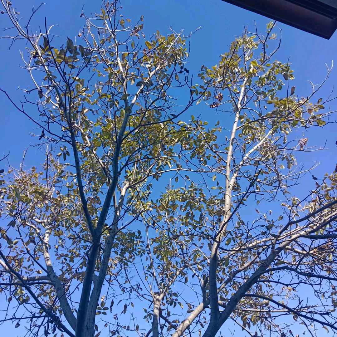 专业拍摄！摄影师