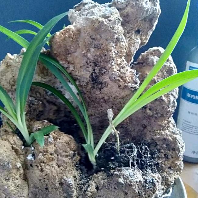 自在木火土金水