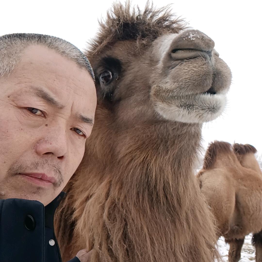 护航轮胎