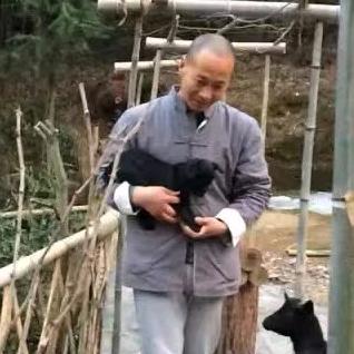 六也  真人